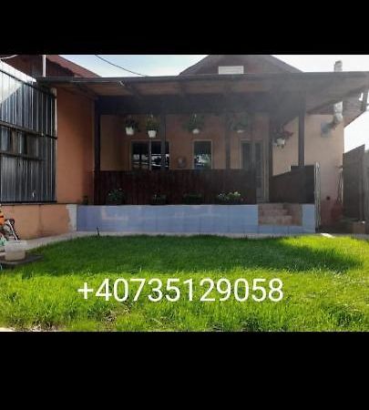 Central City House Tulcea Buitenkant foto