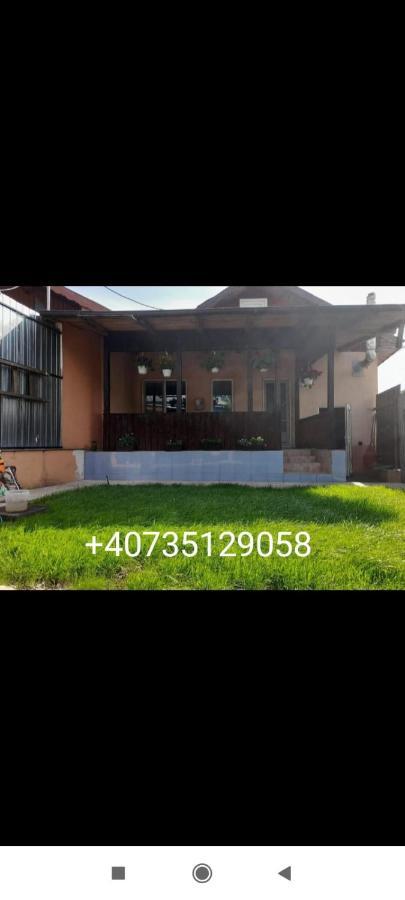 Central City House Tulcea Buitenkant foto